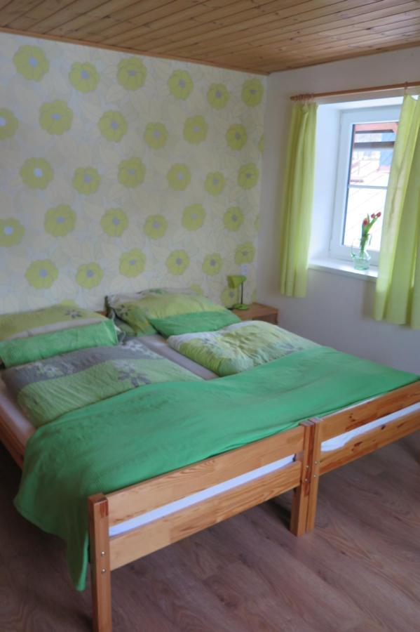 Apartments Skiareal U Vodarny Bedrichov Janov nad Nisou Eksteriør billede